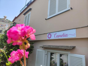Camelia Vico Equense Vico Equense